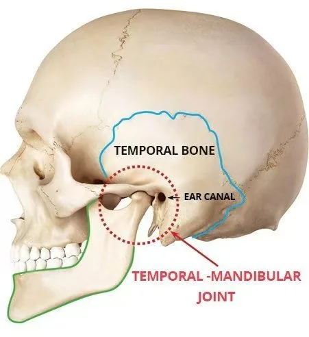 The Hidden Connection: How Your Neck Muscles Affect Your Jaw Pain