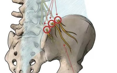 Image_20250514113007-1